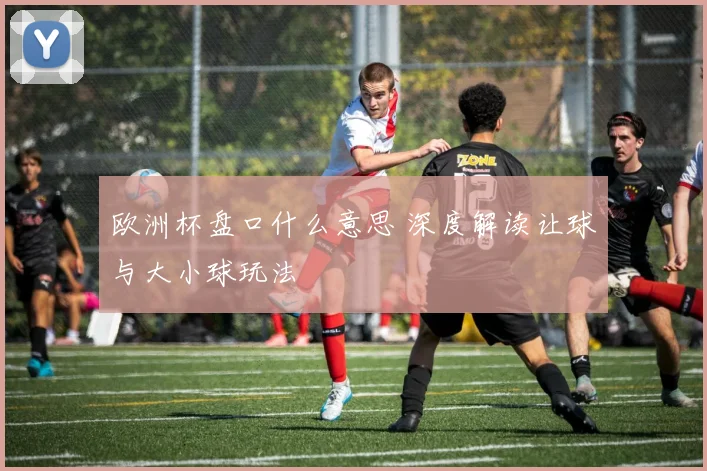 欧洲杯盘口什么意思 深度解读让球与大小球玩法