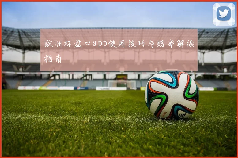 欧洲杯盘口app使用技巧与赔率解读指南