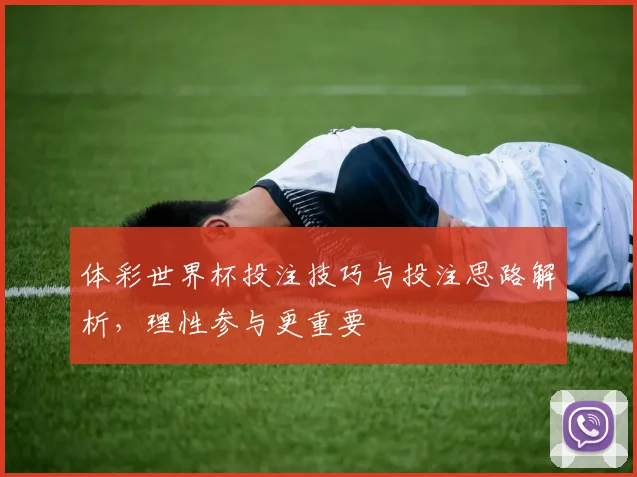 体彩世界杯投注技巧与投注思路解析,理性参与更重要