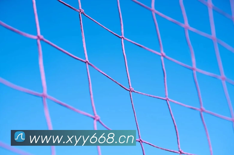 beat365·正版唯一官网 - 最新版网站品牌故事